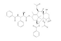 7-表紫杉醇（105454-04-4）