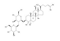 人参皂苷Rk1(494753-69-4)