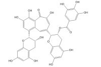 茶黄素-3-没食子酸酯（30462-34-1）