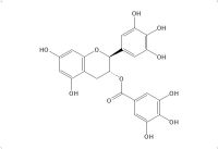 (-)-没食子儿茶素没食子酸酯（4233-96-9）