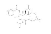 千金子素L8（218916-53-1）
