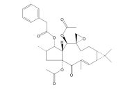 千金子素L1(76376-43-7)