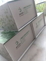 犬细小病毒PCR检测试剂盒