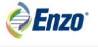 ENZO