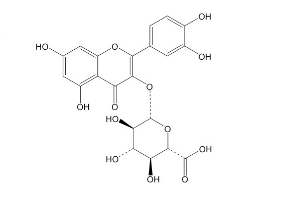 槲皮素 3-O-β-D-葡萄糖醛酸苷（22688-79-5）