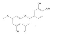 羟基芫花素（20243-59-8）