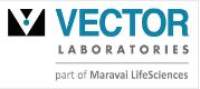 Vectorlabs
