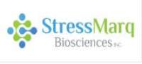 Stressmarq