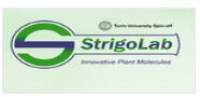 StrigoLab