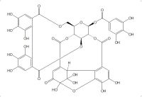 老鹳草素（60976-49-0）