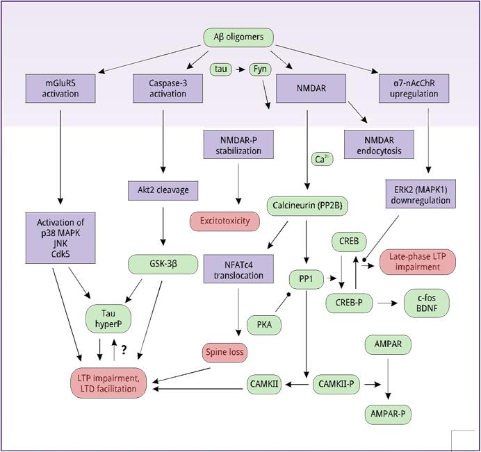科学大讲堂 | 阿尔茨海默症的分子机制