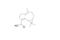 Volvalerenic acid A（1247014-34-1）