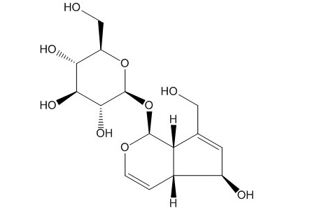 桃叶珊瑚苷（479-98-1）