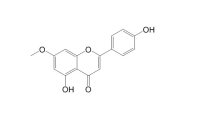 芫花素（437-64-9）
