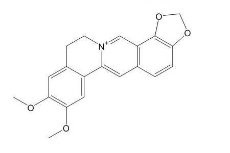 表小檗碱（6873-09-2）