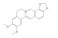 表小檗碱（6873-09-2）