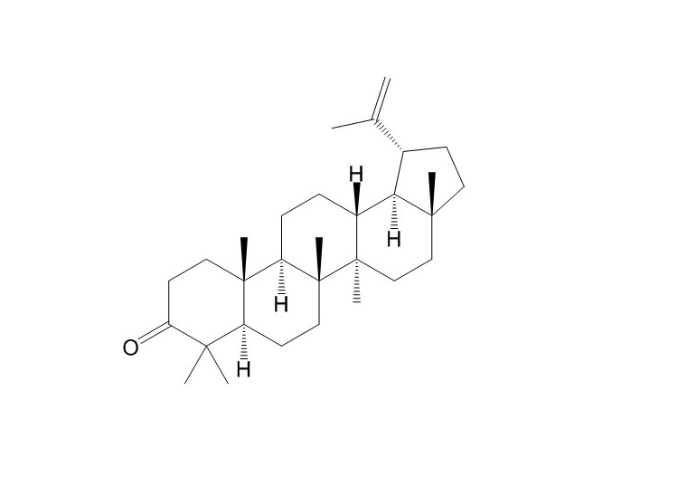 羽扇烯酮（1617-70-5）