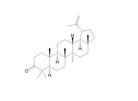 羽扇烯酮（1617-70-5）
