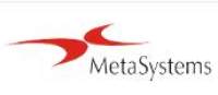 Metasystems