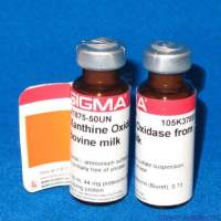 进口试剂亚铁（黄血盐）（六氰基高铁(II)酸钾 三水合物 Sigma P9387
