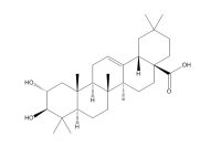 山楂酸（4373-41-5）
