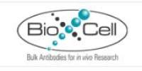 BioXcell