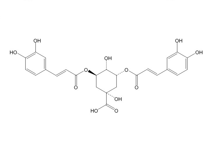 3,5-O-二咖啡酰基奎宁酸（89919-62-0）