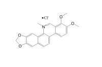 氯化白屈菜红碱（3895-92-9）