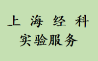 稳转细胞系建立实验