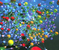 兔膀胱平滑肌细胞