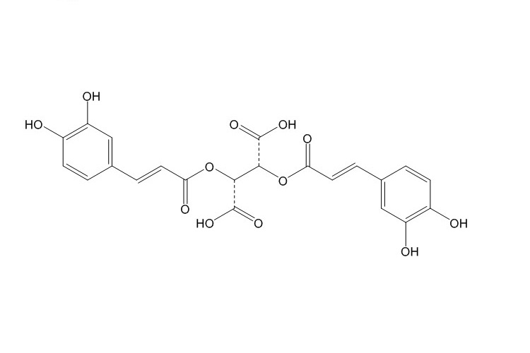 菊苣酸（70831-56-0）