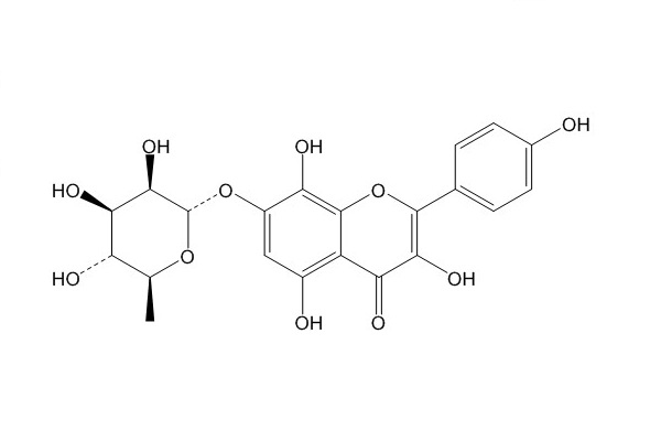 草质素苷（85571-15-9）