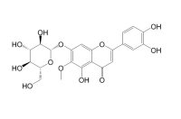 假荆芥属苷(569-90-4)
