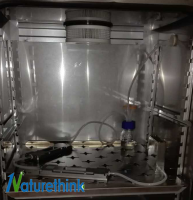 Naturethink流体剪切力系统