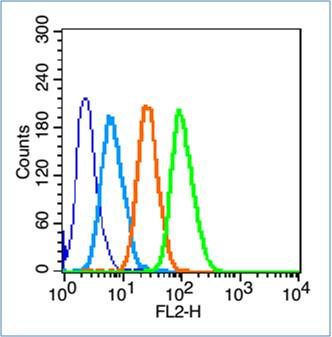 Alkaline Phosphatase, Tissue Non-Specific isozyme antibody