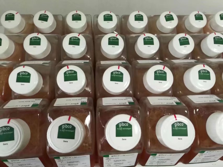Gibco活性炭-葡聚糖处理胎牛血清（货号12676-029）（常备）供应