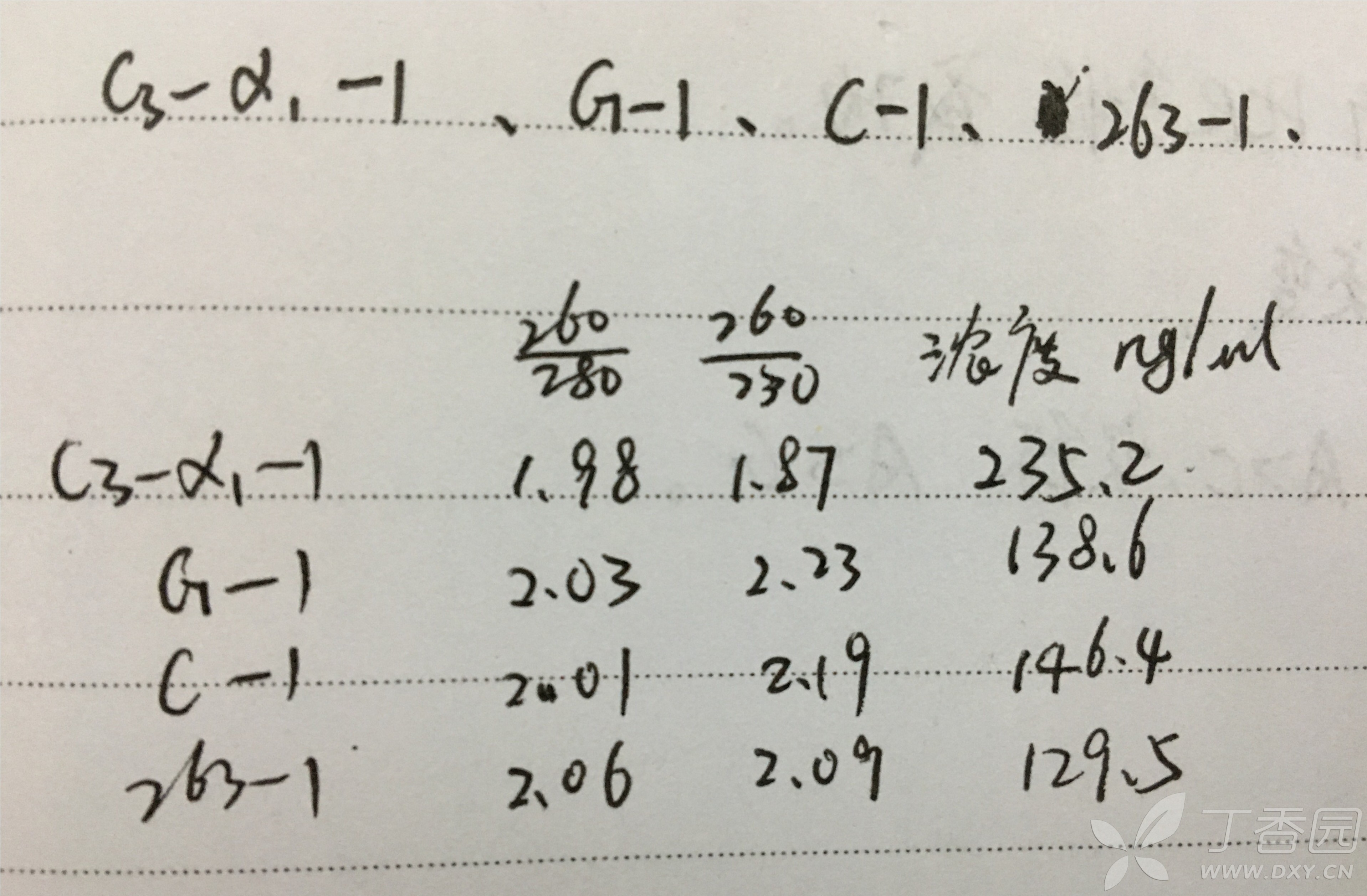 dna跑胶图分析图片