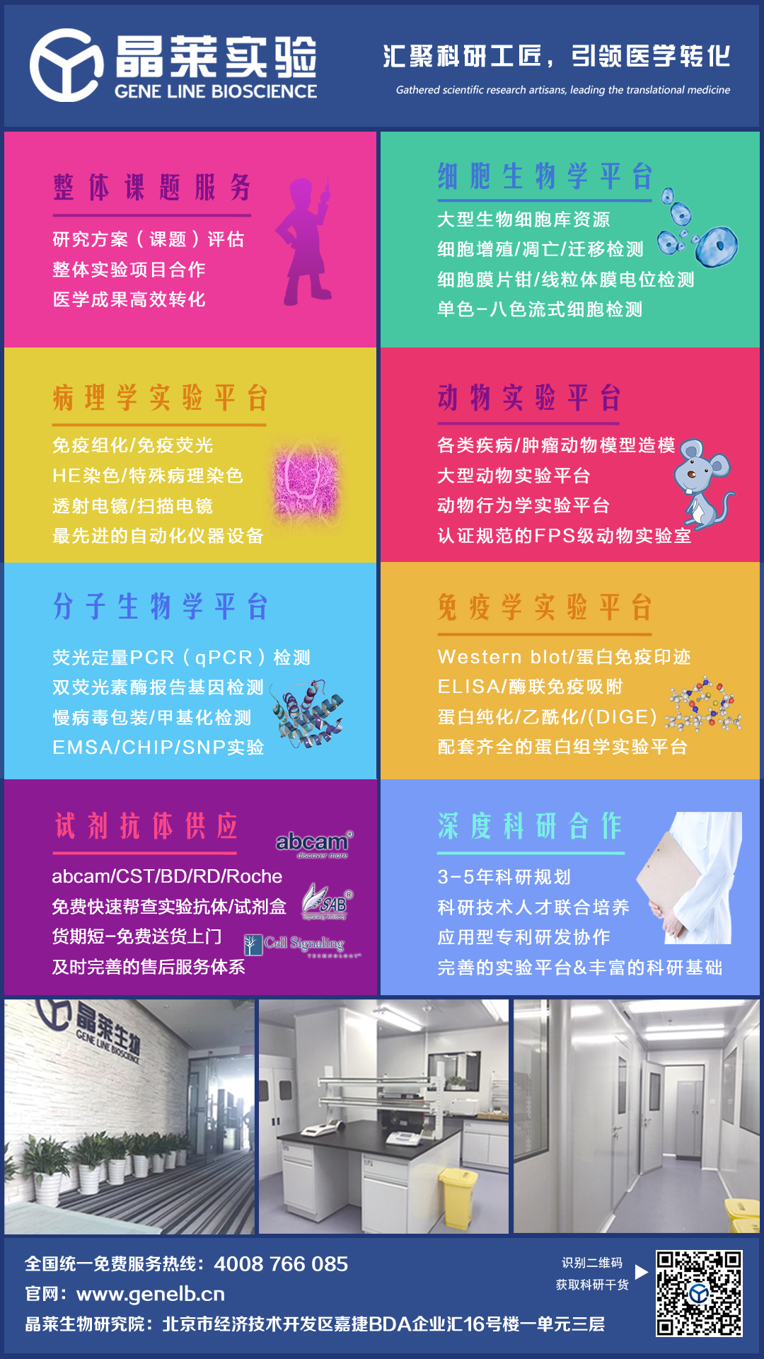 【科研干货】细胞系实验和原代细胞实验的区别