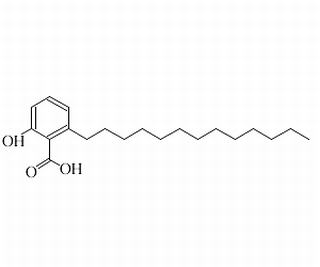 白果新酸（银杏酸C13:0）HPLC≥98%