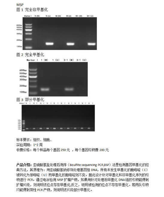 甲基化检测MSP实验服务