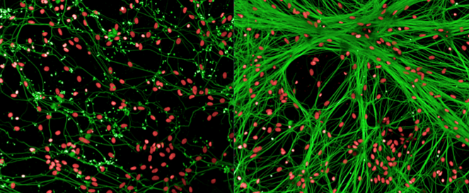 2018 PerkinElmer 转化医学 INTour 全国系列研讨会