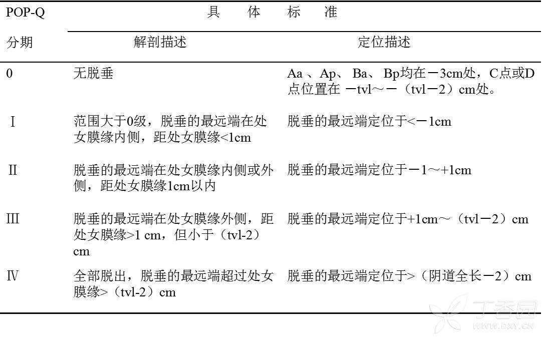 pop-q分期原始文献见附件.