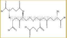 氧化型谷胱甘肽(氧化型)C A S号：27025-41-8