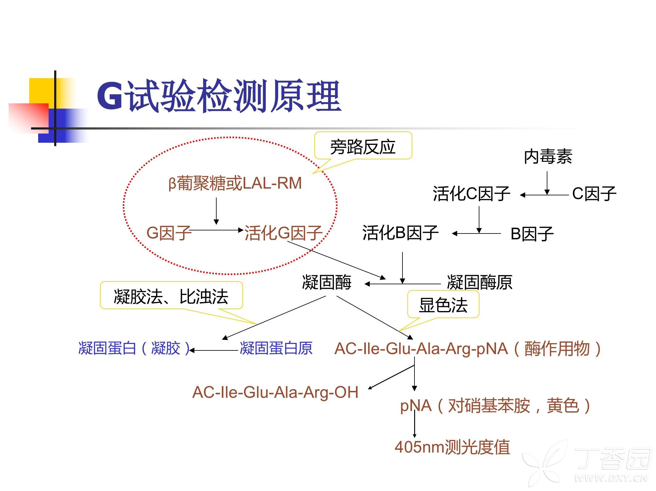 关于侵袭性真菌感染的g试验和gm试验的问题