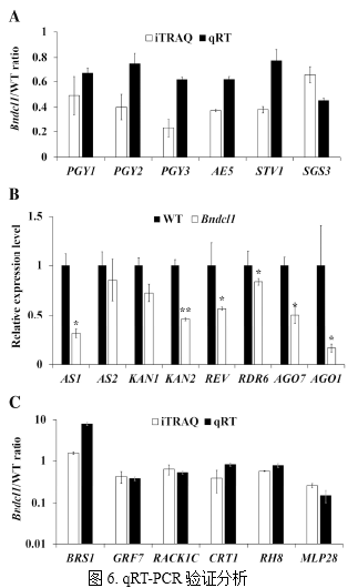 客户文章分享：iTRAQ蛋白质组揭示油菜卷叶机理