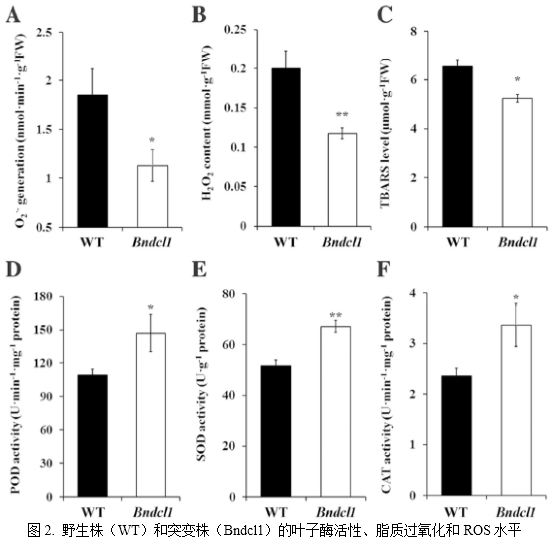 客户文章分享：iTRAQ蛋白质组揭示油菜卷叶机理