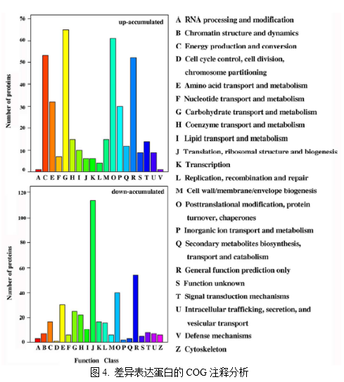 客户文章分享：iTRAQ蛋白质组揭示油菜卷叶机理