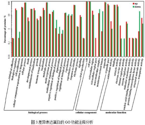 客户文章分享：iTRAQ蛋白质组揭示油菜卷叶机理