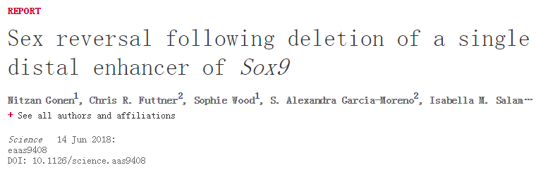 Science重大突破：删除一段DNA，逆转小鼠“性别”！