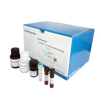 妙聚 EpiFlash®  DNA甲基化快速修饰试剂盒